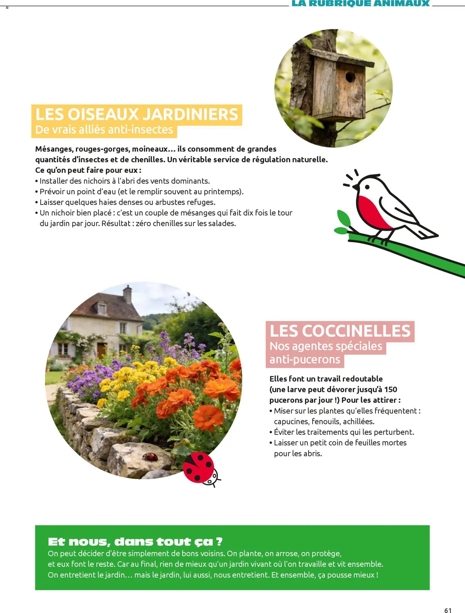 {H1} | Page: 61 | Produits: Plantes, Mais