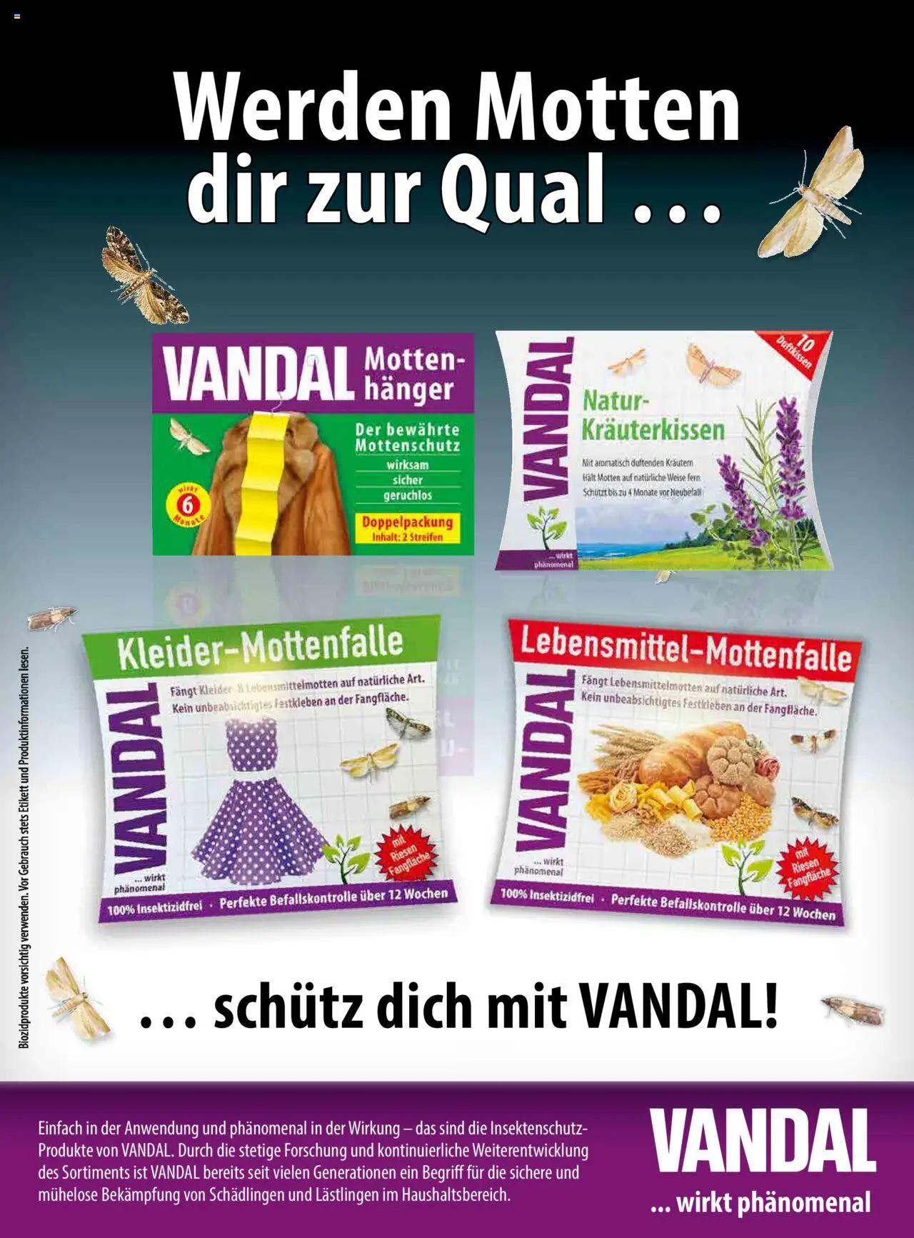 dm drogerie markt Active Beauty Magazin 10/2025 gültig ab 01.10.2025 | Seite: 81