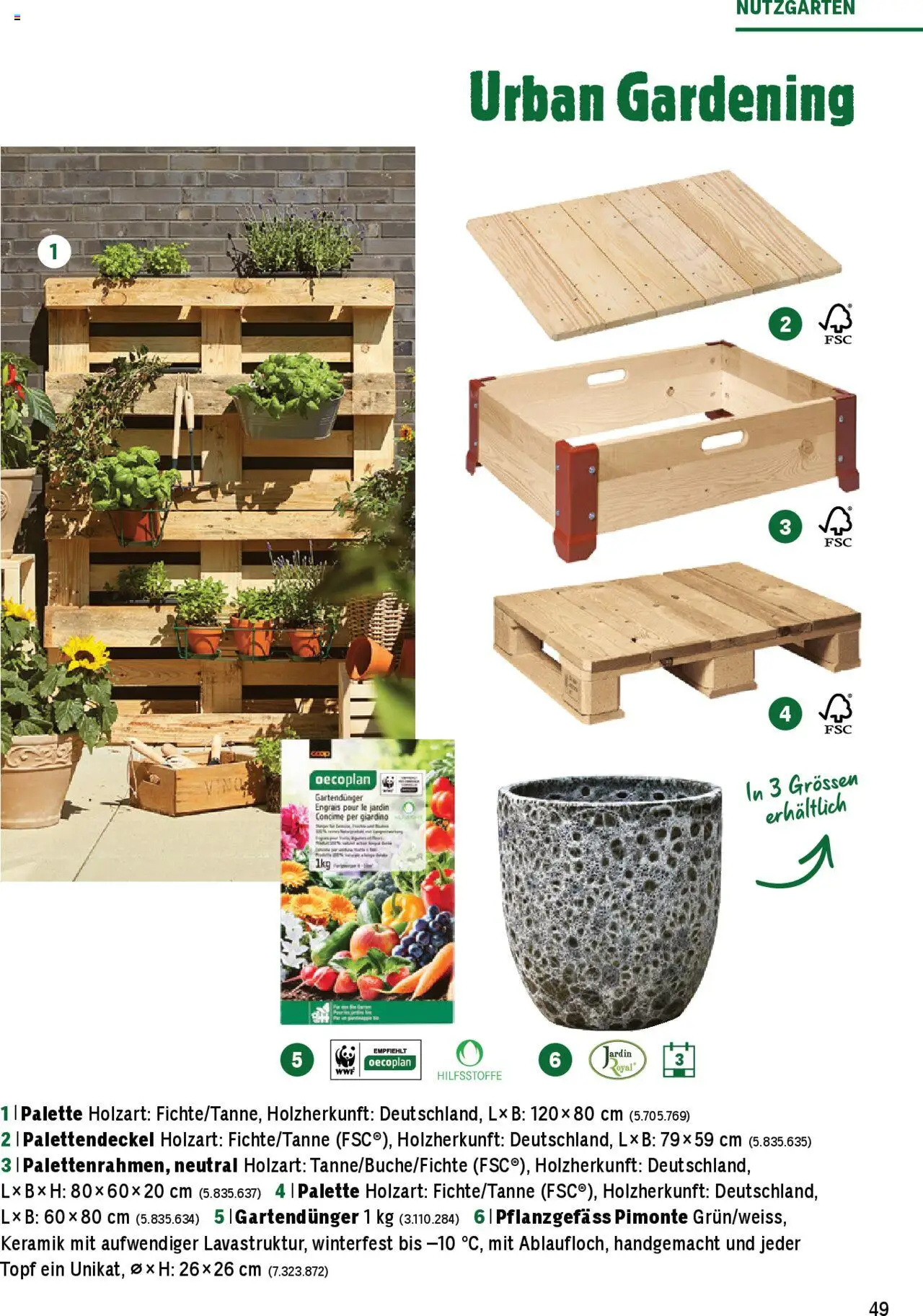 Jumbo Aktionen Dein Garten 2025 ab 21.02.2025 | Seite: 49