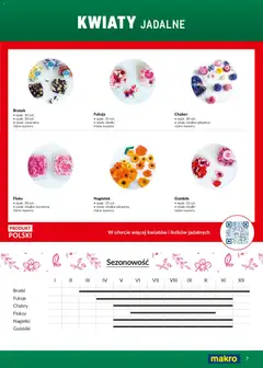 Pogląd oferty "Makro Gazetka - Ultra fresh" - ważna od 01.03.2026 | Strona: 7 | Produkty: Goździki, Goździk, Bratki, Kwiaty