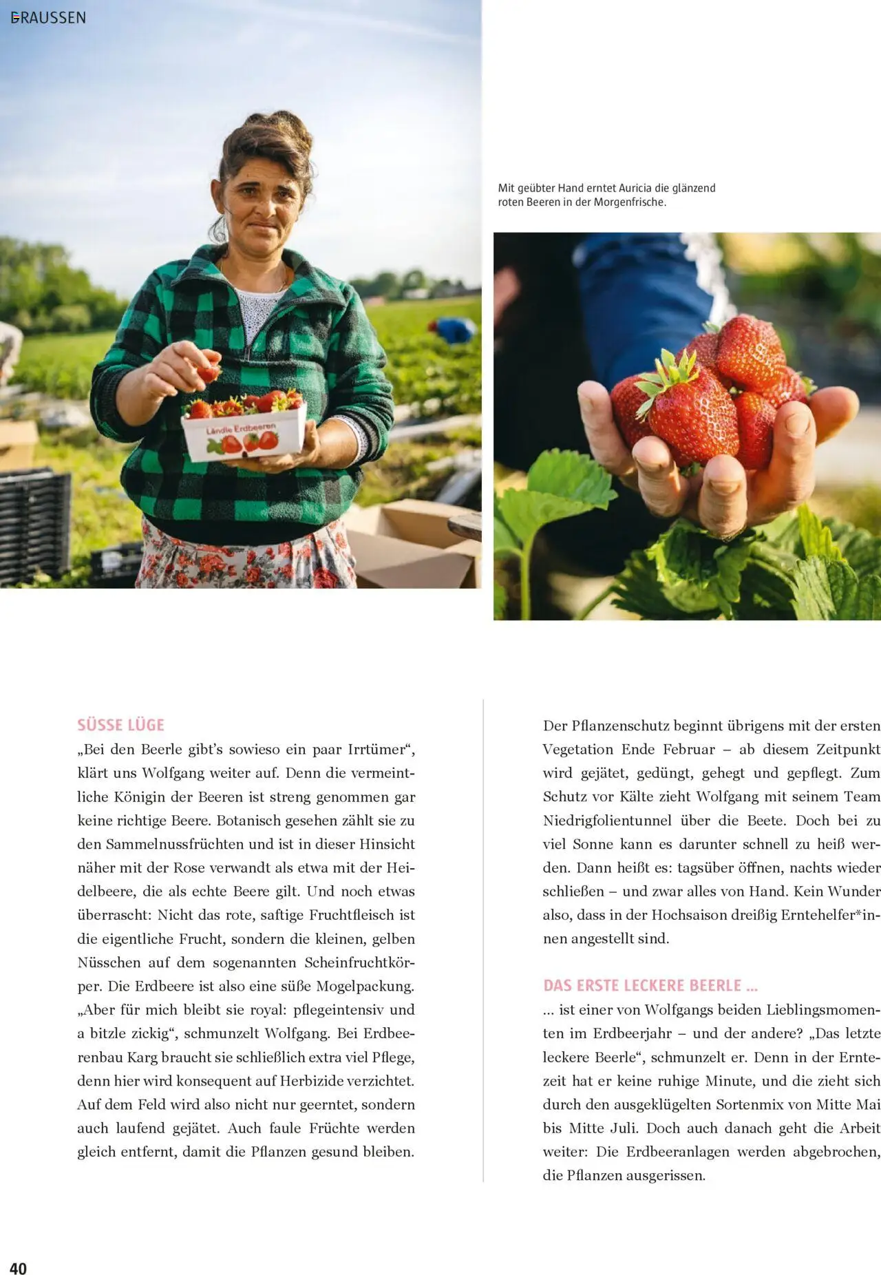 Sutterlüty B’sundrig Magazine gültig ab 18.06.2025 | Seite: 40 | Produkte: Erdbeeren