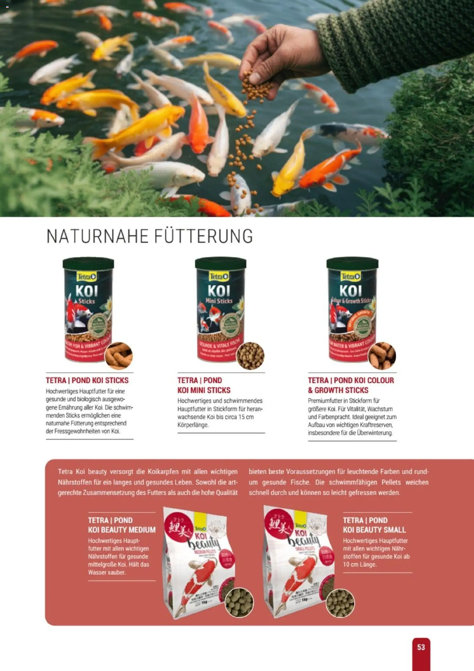 zookauf Themenkatalog Teich – gültig ab 23.03.2026 | Seite: 53 | Produkte: Wasser