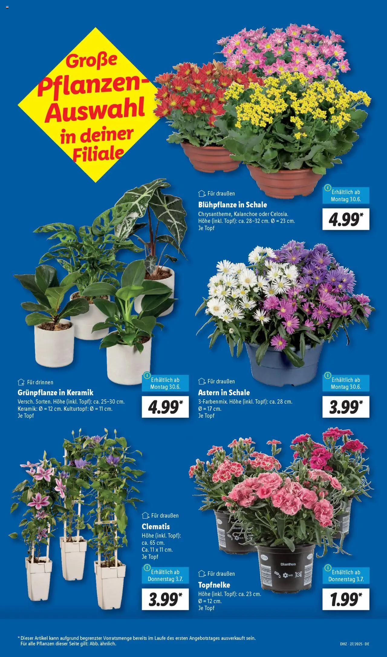 Lidl Prospekt 	 - gültig ab dem 30.06.2025 | Seite: 7