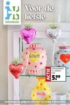 Intratuin - Folder - Voorbeeld van een folder van Intratuin, geldig van 09.02.2026