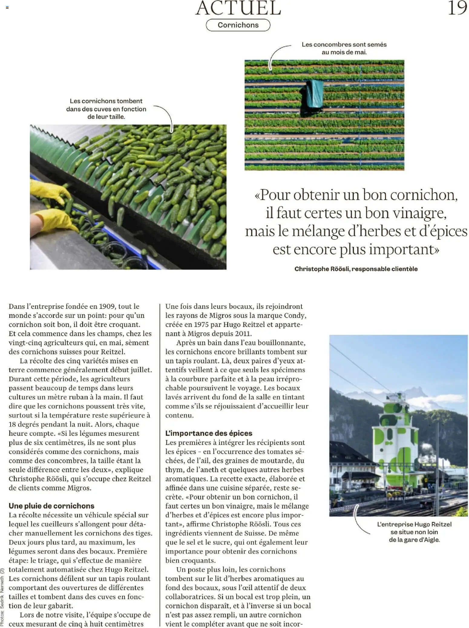 Migros Magazin FR – gültig ab 17.11.2025 | Seite: 19