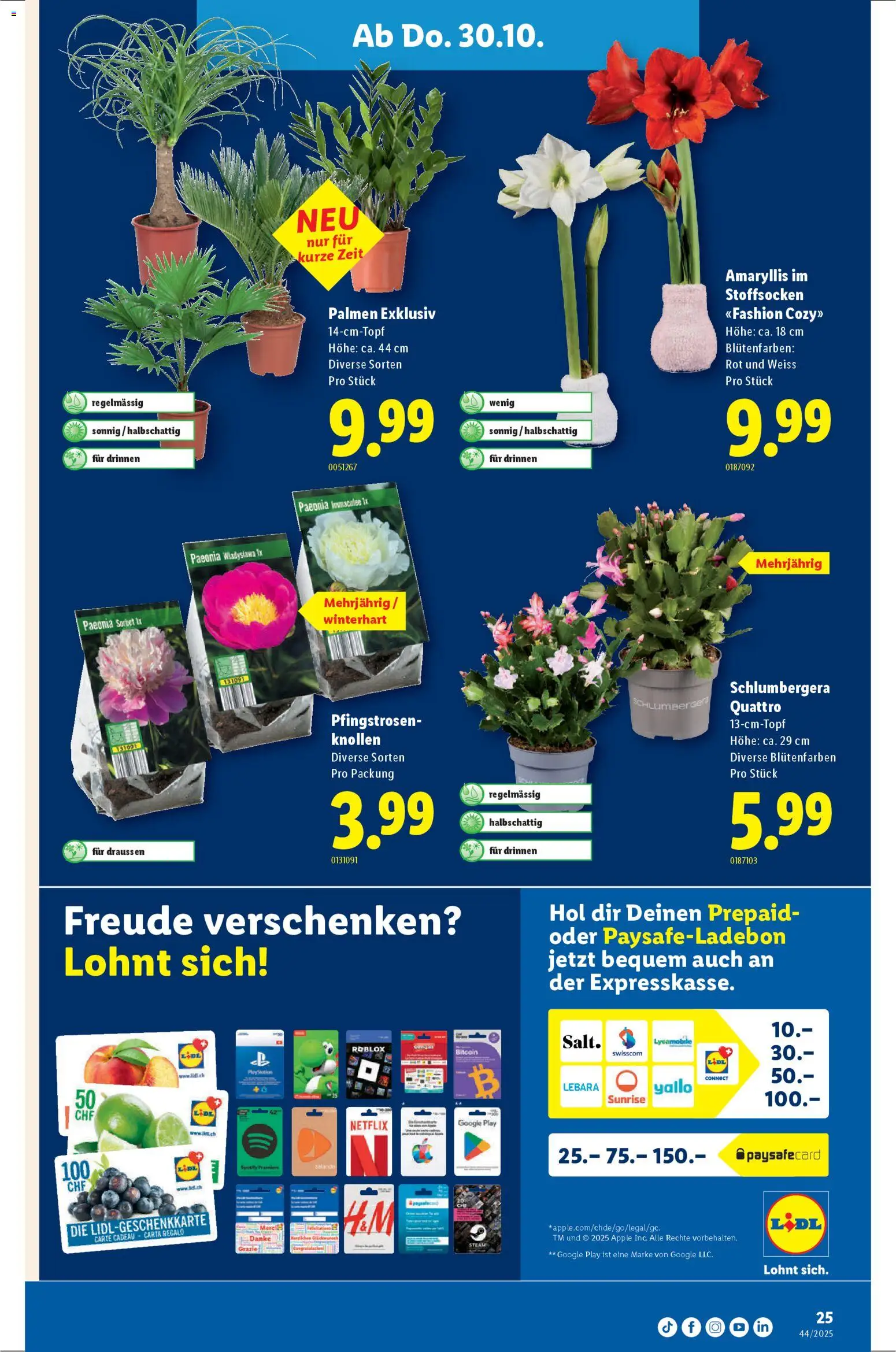 Lidl Aktionen – gültig ab 30.10.2025 | Seite: 25