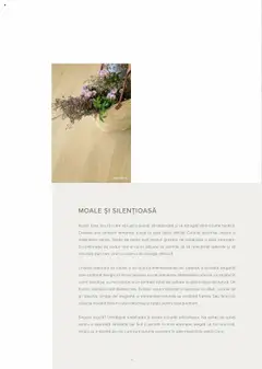 Ofertele Proges valabile de la 24.08.2023 | Pagină: 17 | Produse: Magazin De Vinuri, Mobilă De Grădină, Demachiant de față, Ceai de slăbit