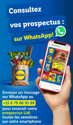LIDL - Prévisualisation de LIDL catalogue semaine 45 valide à partir de 06.11.2025 | Page: 95