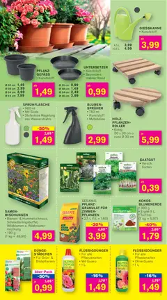 KODi Prospekt 	 ab 09.02.2026 gültig | Seite: 5 | Produkte: Blumen, Blumenerde, Petersilie