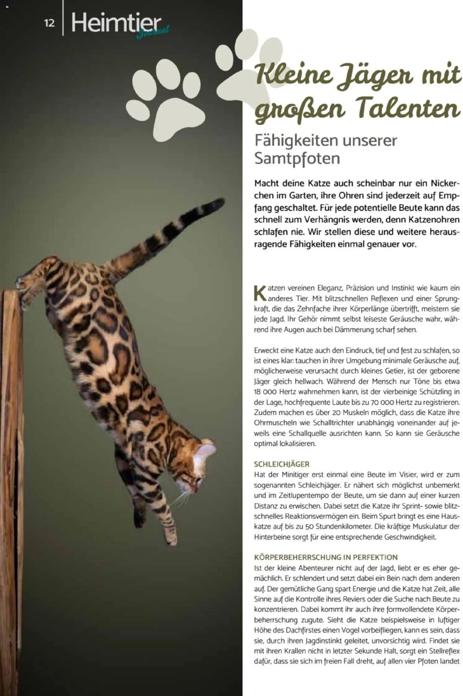 zookauf - Heimtier Journal – gültig ab 01.12.2025 | Seite: 12