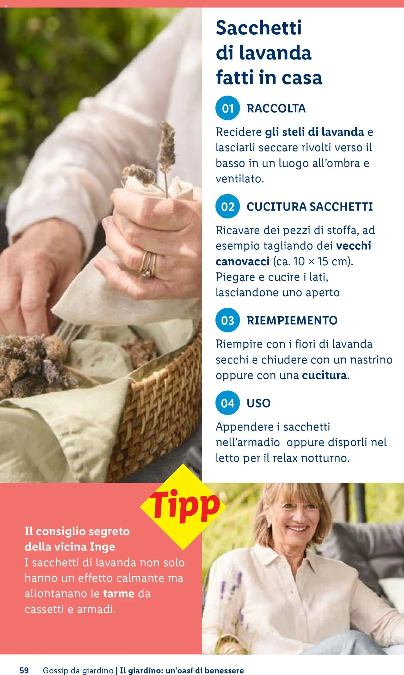 Volantino Lidl del 23.04.2026 | Pagina: 59 | Prodotti: Lavanda, Letto
