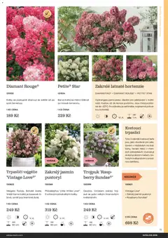 Náhled letáku Starkl katalog od 25.02.2026 | Strana: 11 | Produkty: Puk, Rostliny, Pes