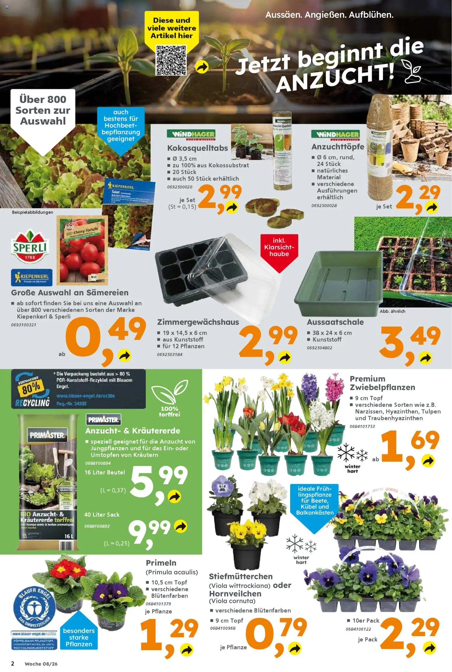 Globus Baumarkt Prospekt 	 – gültig ab 16.02.2026 | Seite: 2 | Produkte: Hochbeet, Stiefmutterchen, Salat