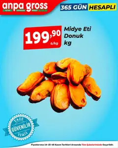 14.11.2025 tarihinden itibaren geçerli olan Anpa Gross kataloğu önizlemesi | Sayfa: 3