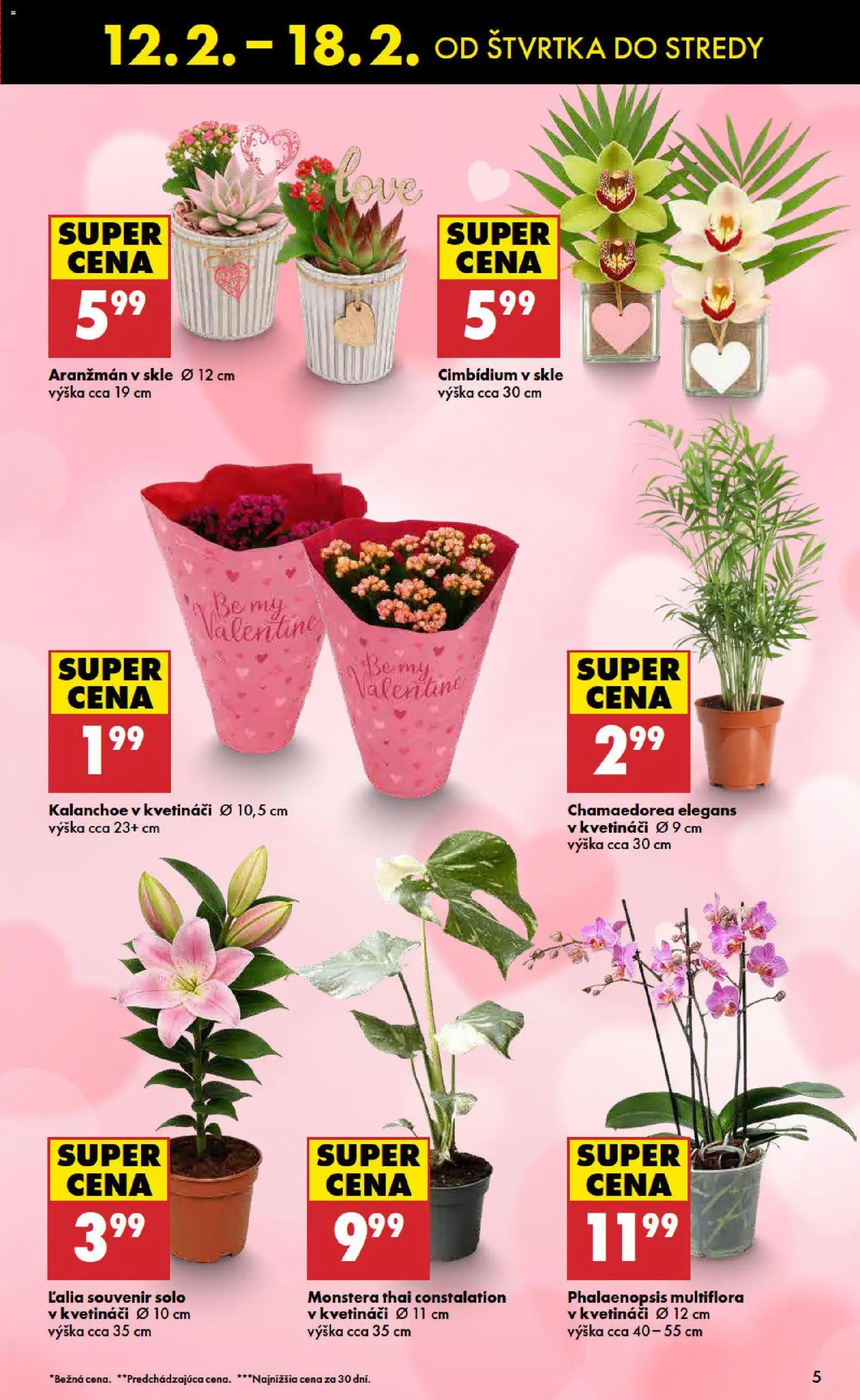 Nové Biedronka akcie – leták je platný od 12.02.2026 | Strana: 5