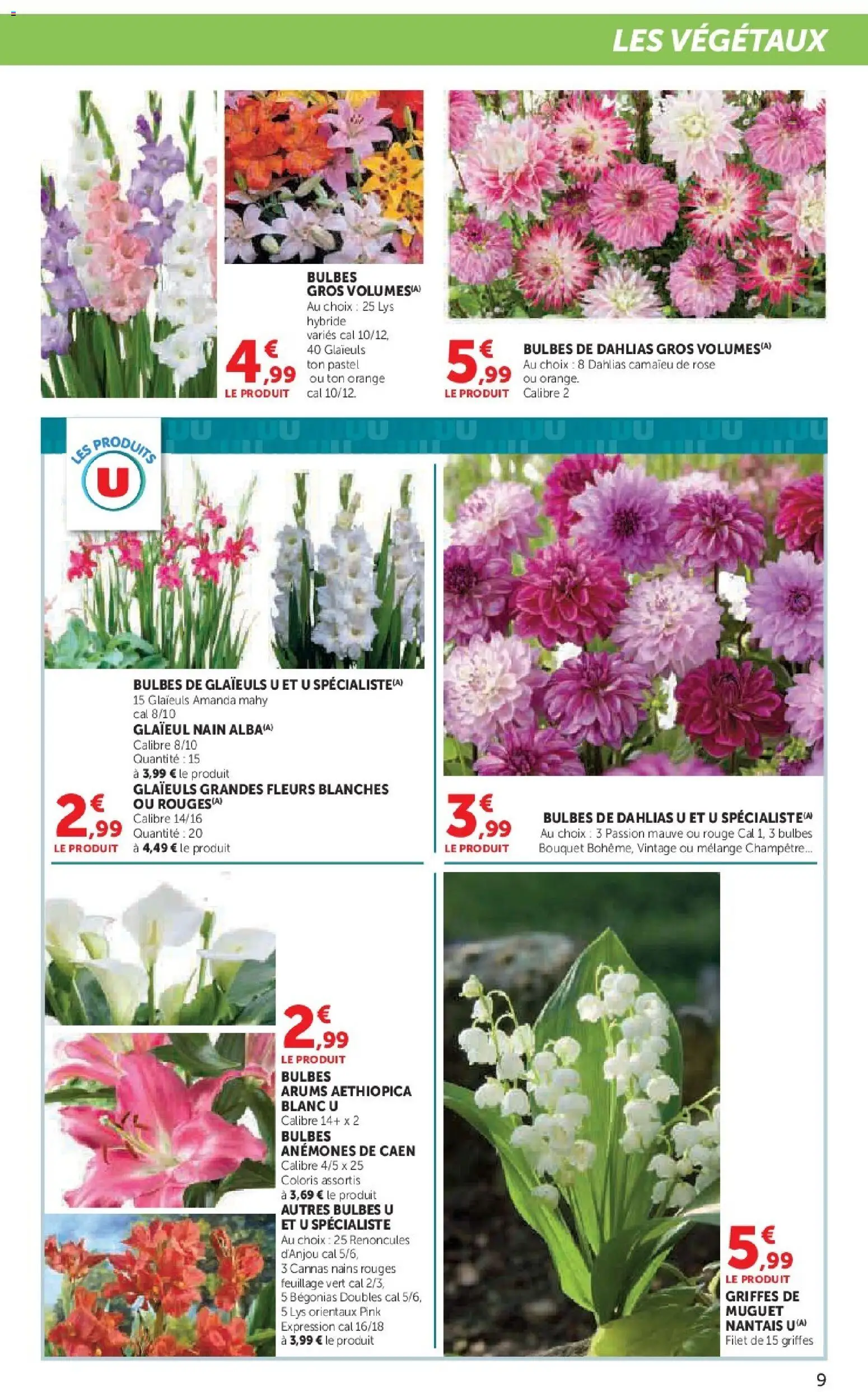 {H1} | Page: 9 | Produits: Orange, Muguet