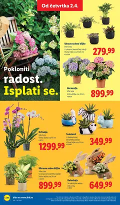 Lidl katalog - pregled Lidl kataloga - važi od 02.04.2026 | Strana: 64