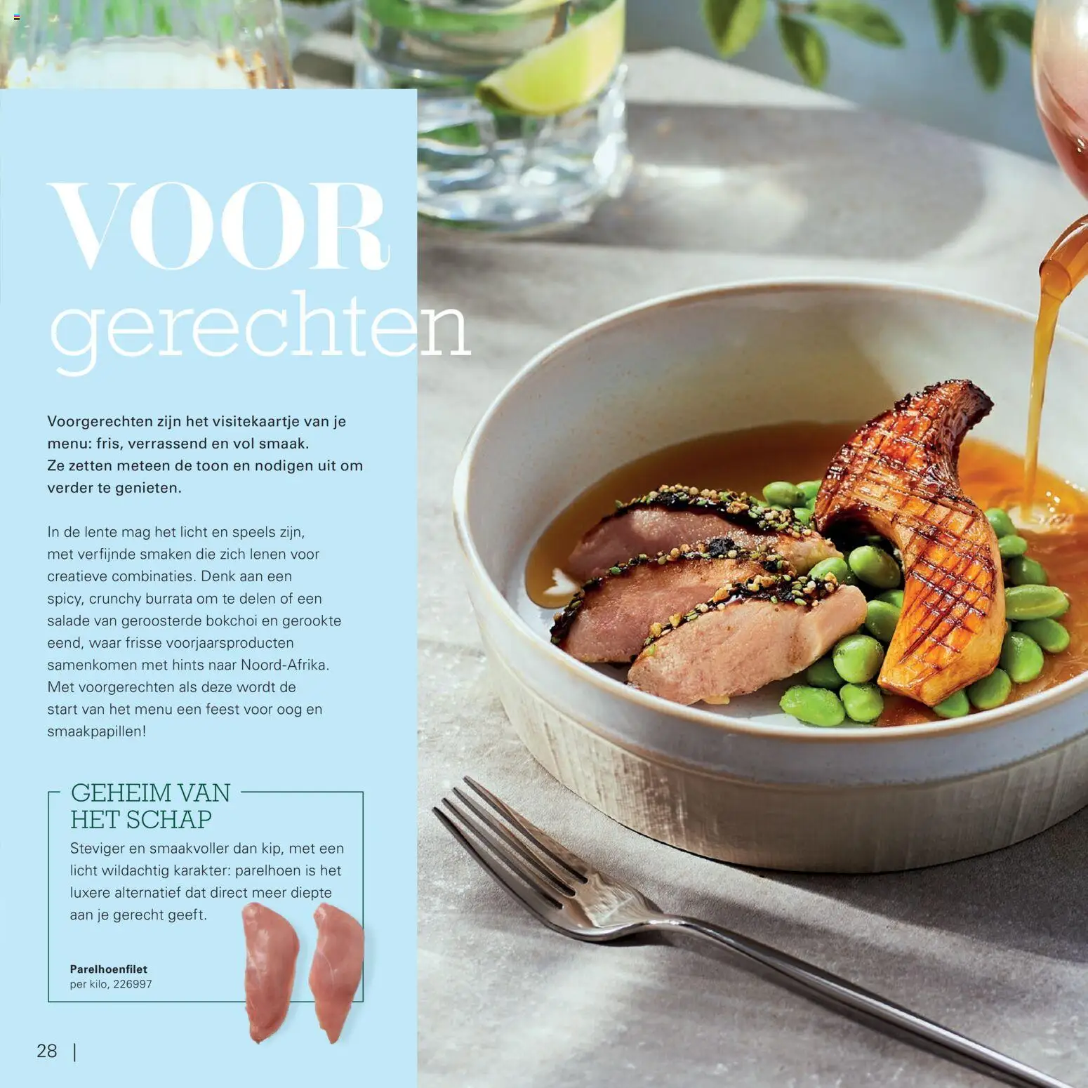 {H1} | Pagina: 28 | Producten: Salade