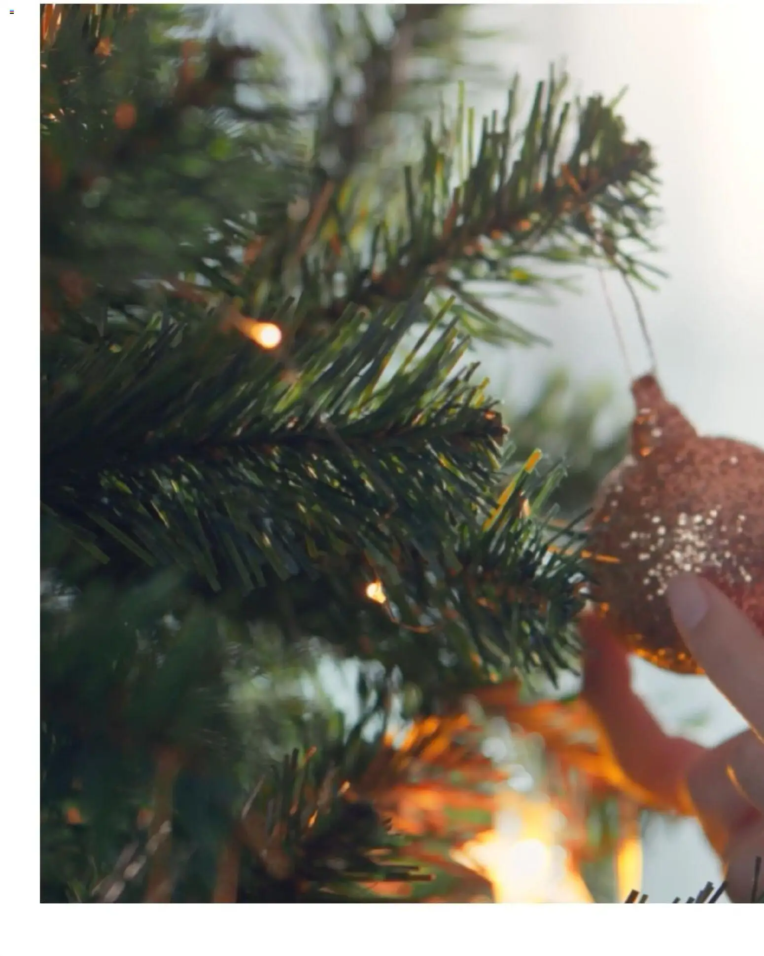 Bauhaus - Navidad 2025 │ válido desde el 05.11.2025 | Página: 46