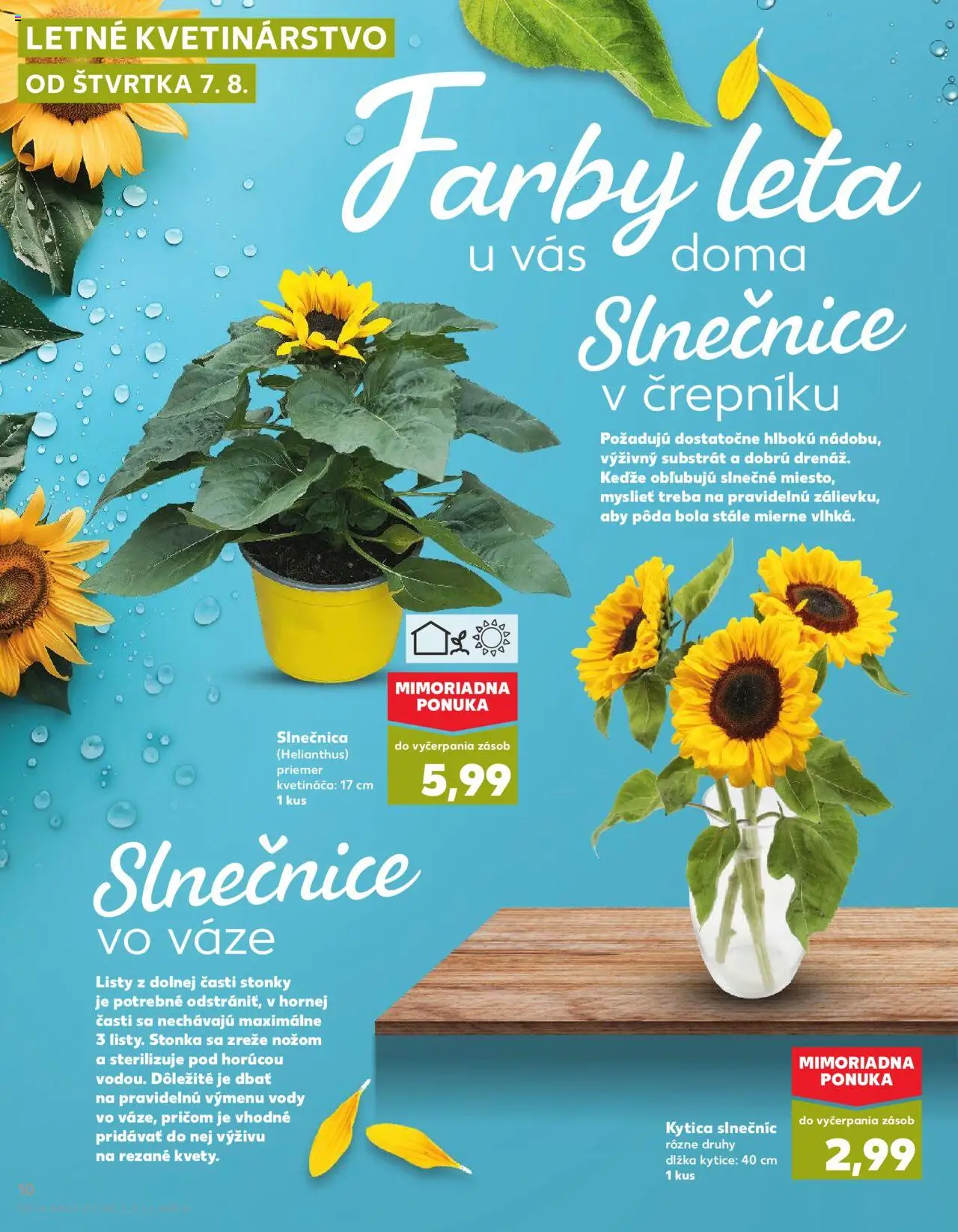 Kaufland SK akciós ujság - amely érvényes a következő dátumtól: 07.08.2025 | Oldal: 10