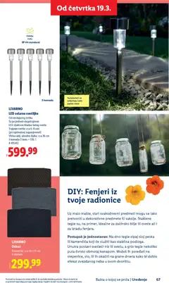 Lidl katalog Bašta o kojoj se priča - pregled Lidl kataloga - važi od 26.02.2026 | Strana: 67 | Proizvode: Otirač, Cvece
