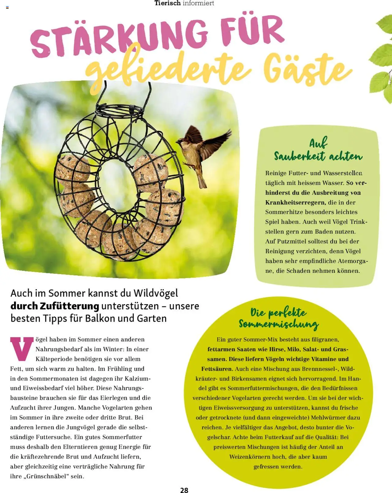 Fressnapf Magazin ab 01.07.2025 | Seite: 28 | Produkte: Salat, Spiel