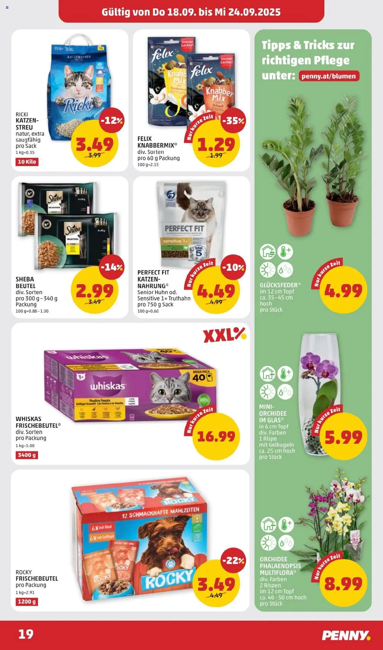 Penny Markt Flugblatt gültig ab 18.09.2025 | Seite: 19