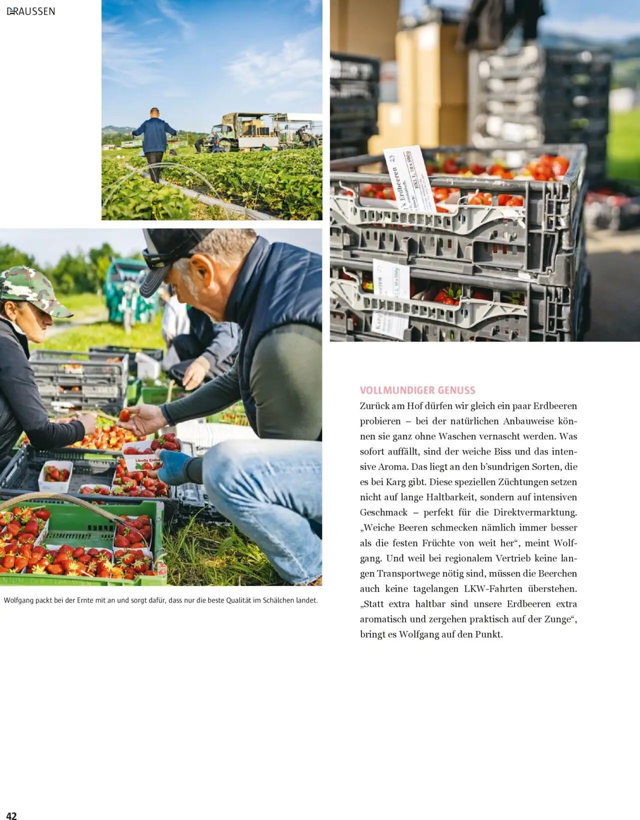 Sutterlüty B’sundrig Magazine gültig ab 18.06.2025 | Seite: 42 | Produkte: Erdbeeren