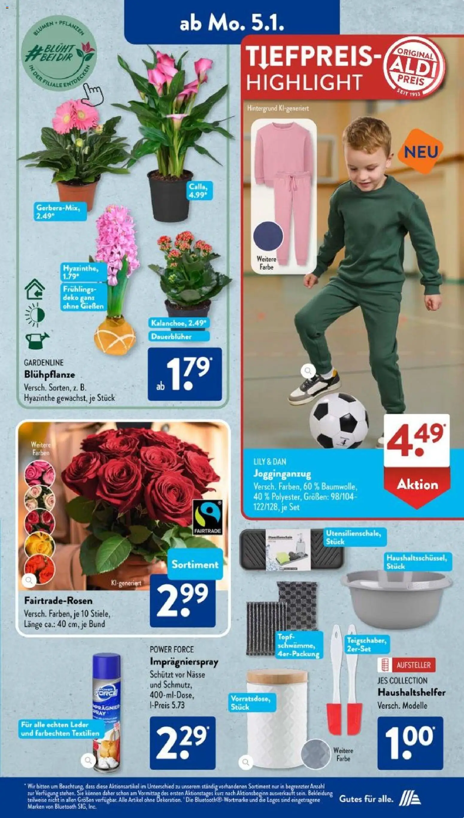 Aldi Süd Prospekt 	 – gültig ab 05.01.2026 | Seite: 19 | Produkte: Blumen, Bekleidung
