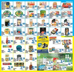 Volantino DEM del 16.07.2025 | Pagina: 13