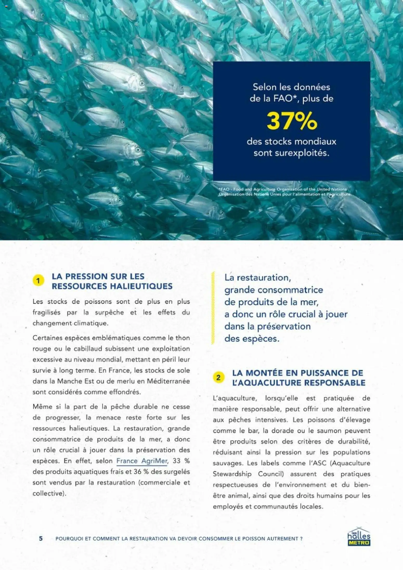 {H1} | Page: 5 | Produits: Pêche, Poisson, Thé, Saumon