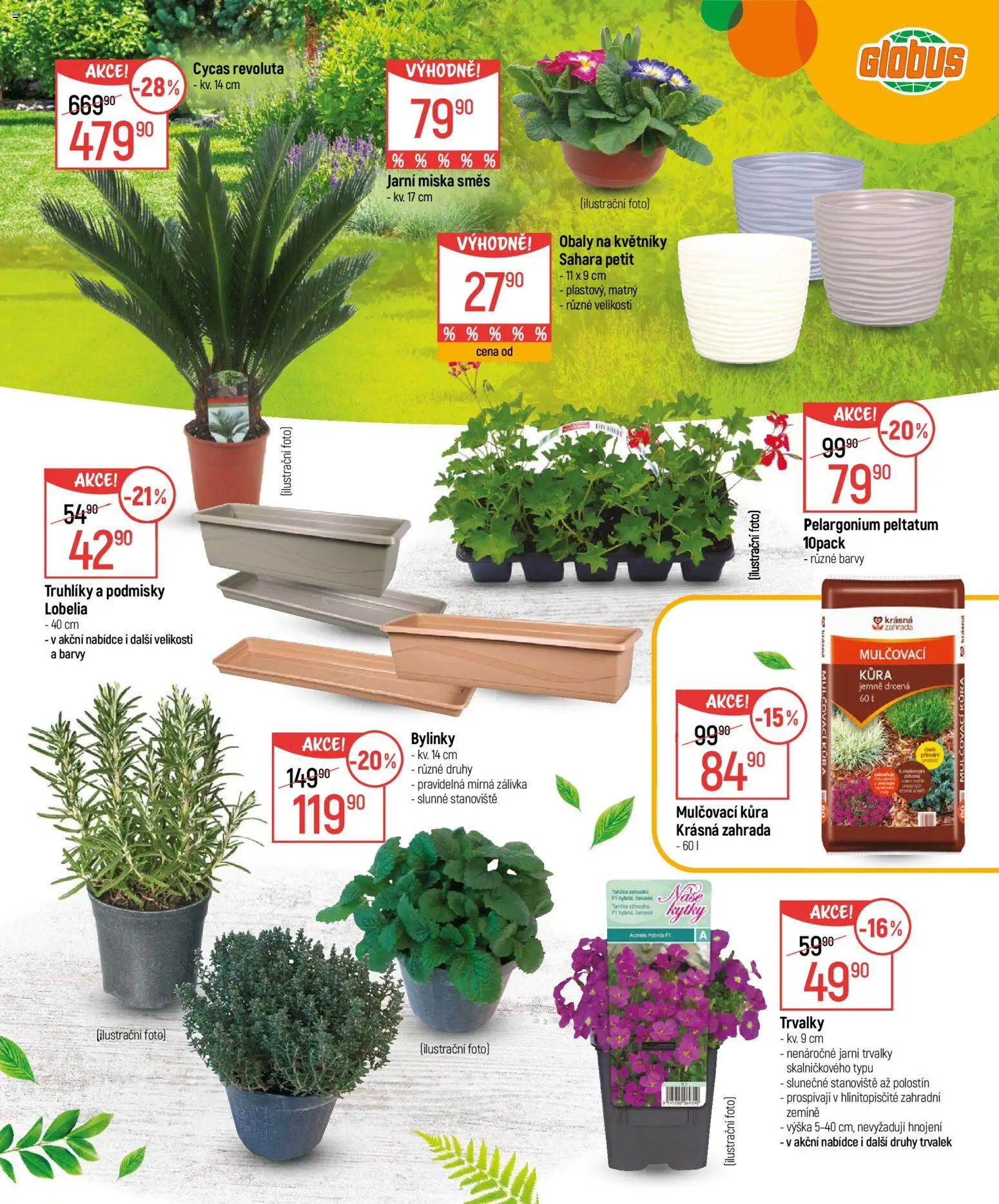 Globus leták - Zahrada od 18.02.2026 | Strana: 3 | Produkty: Zahrada, Miska, Kytky, Barvy