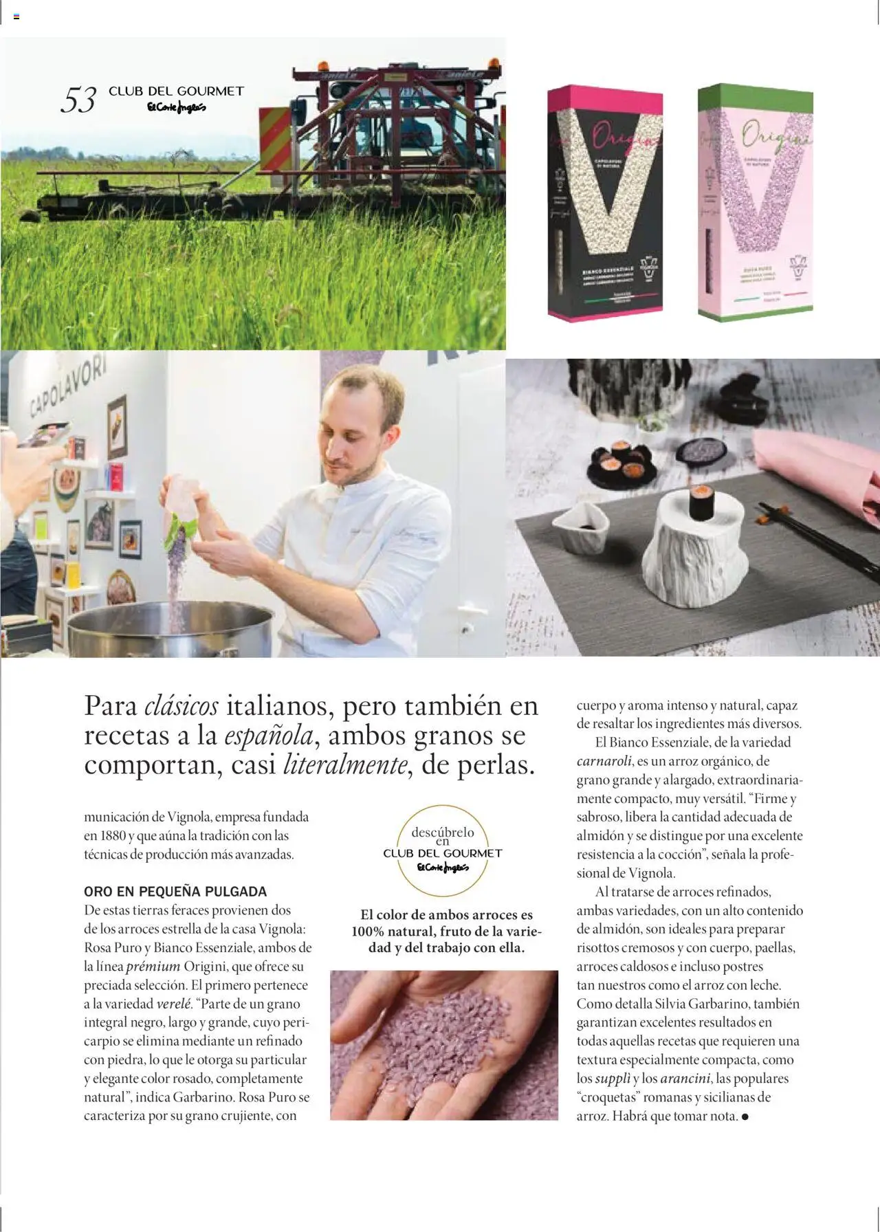 El Corte Inglés ofertas │ válido desde el 27.06.2025 | Página: 53 | Productos: Κρεμάστρα, Arroz, Croquetas