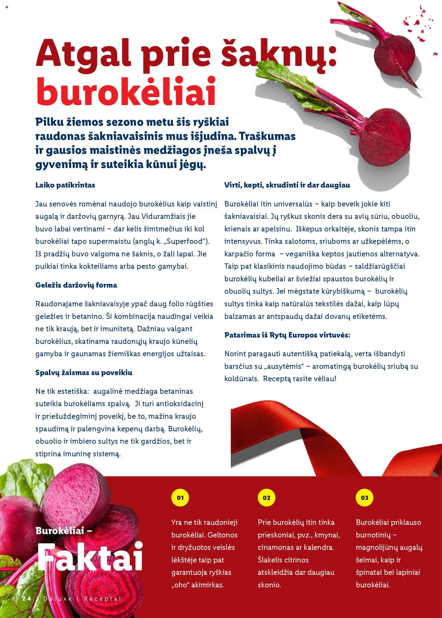 LIDL akcijos nuo 23.11.2025 | Puslapis: 24