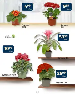 Pogląd oferty "Mrówka Gazetka" - ważna od 15.01.2026 | Strona: 21