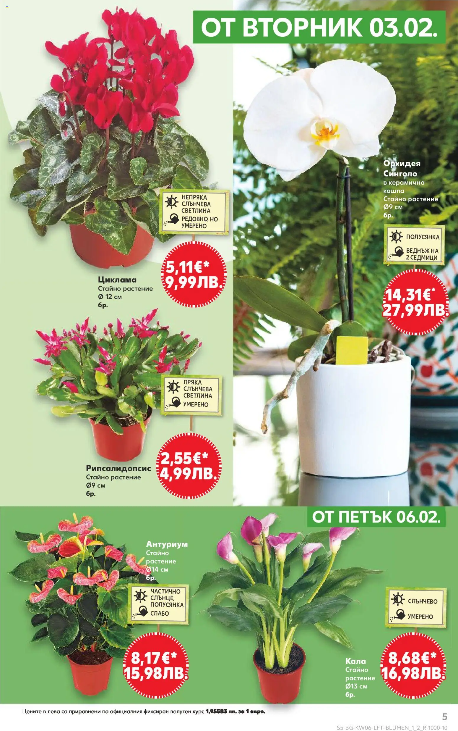 {H1} | Страница: 5 | Продукти: Кашпа, Орхидея