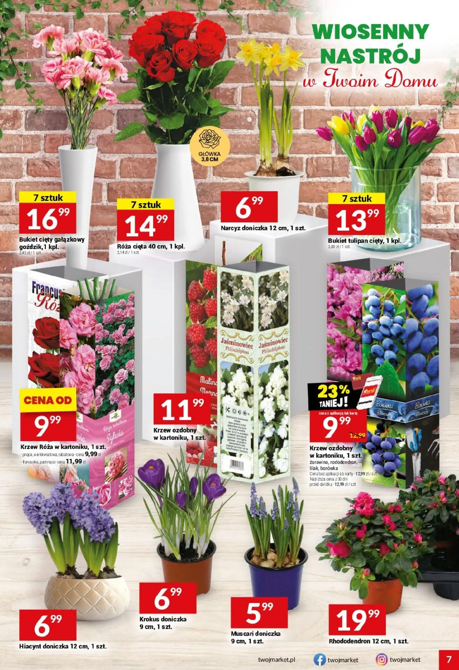Twój Market gazetka od 11.03.2026 | Strona: 7 | Produkty: Doniczka