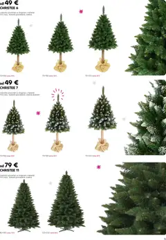 Kondela leták platný od 17.11.2025 | Strana: 5 | Produkty: Vianočný stromček