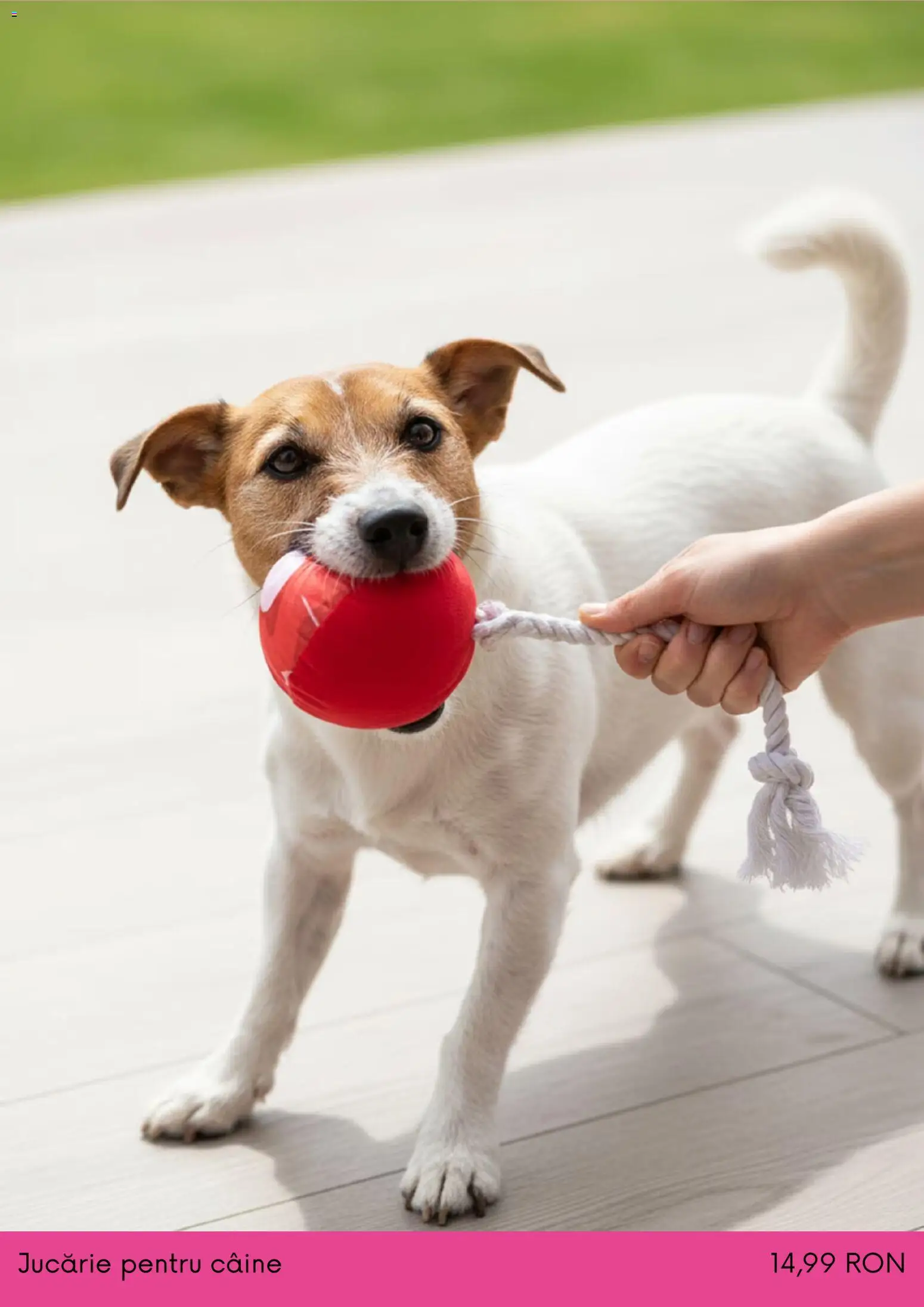 Noul catalog Sinsay – valabil de la 01.12.2025 | Pagină: 9