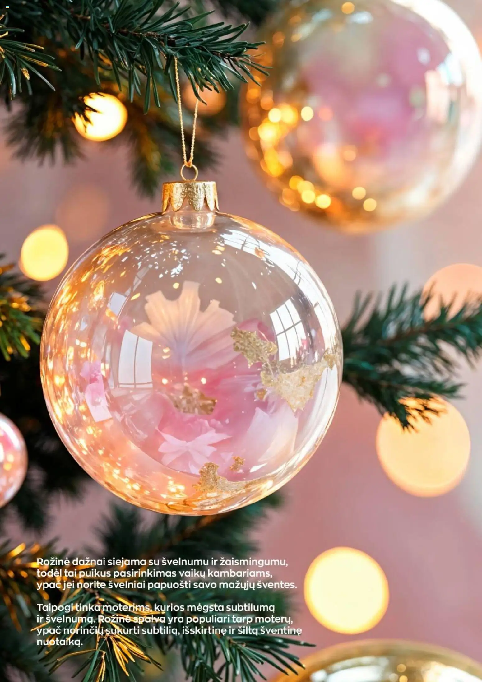 Jupoja akcijos nuo 28.11.2025 | Puslapis: 21