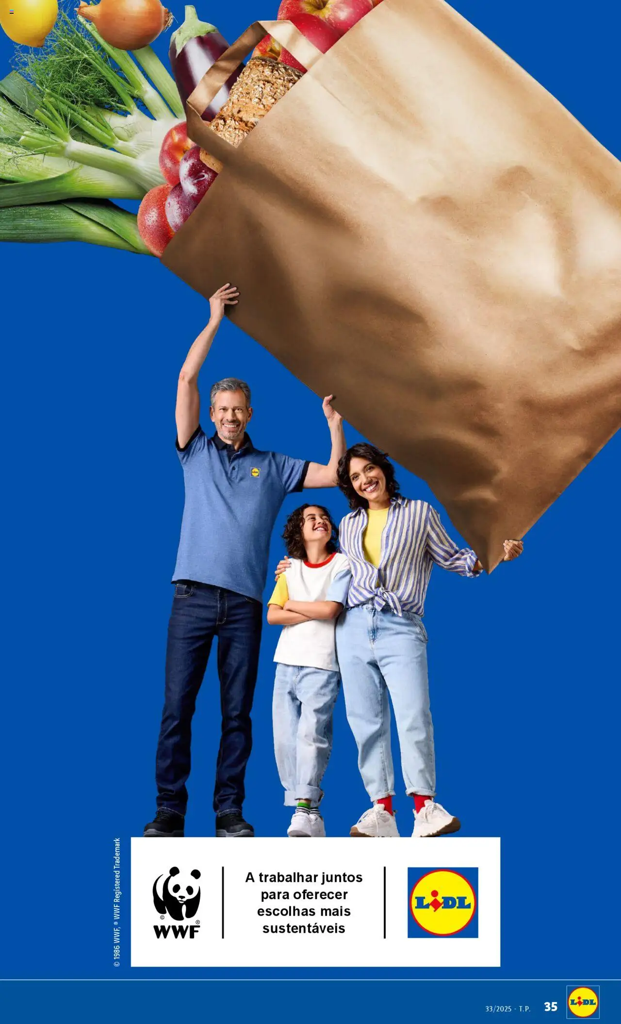 Lidl folheto │ válido de 11.08.2025 | Página: 35