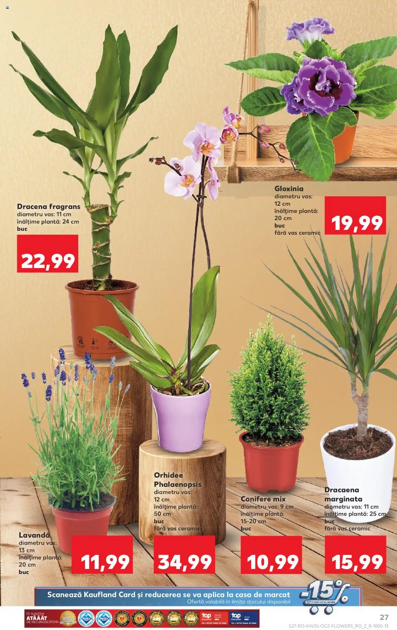 Kaufland RO akciós ujság - amely érvényes a következő dátumtól: 27.08.2025 | Oldal: 27 | Termékek: Dracéna