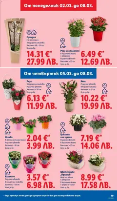 Преглед на Cедмична брошура на Лидл - Офертите са валидни от 02.03.2026 | Страница: 19