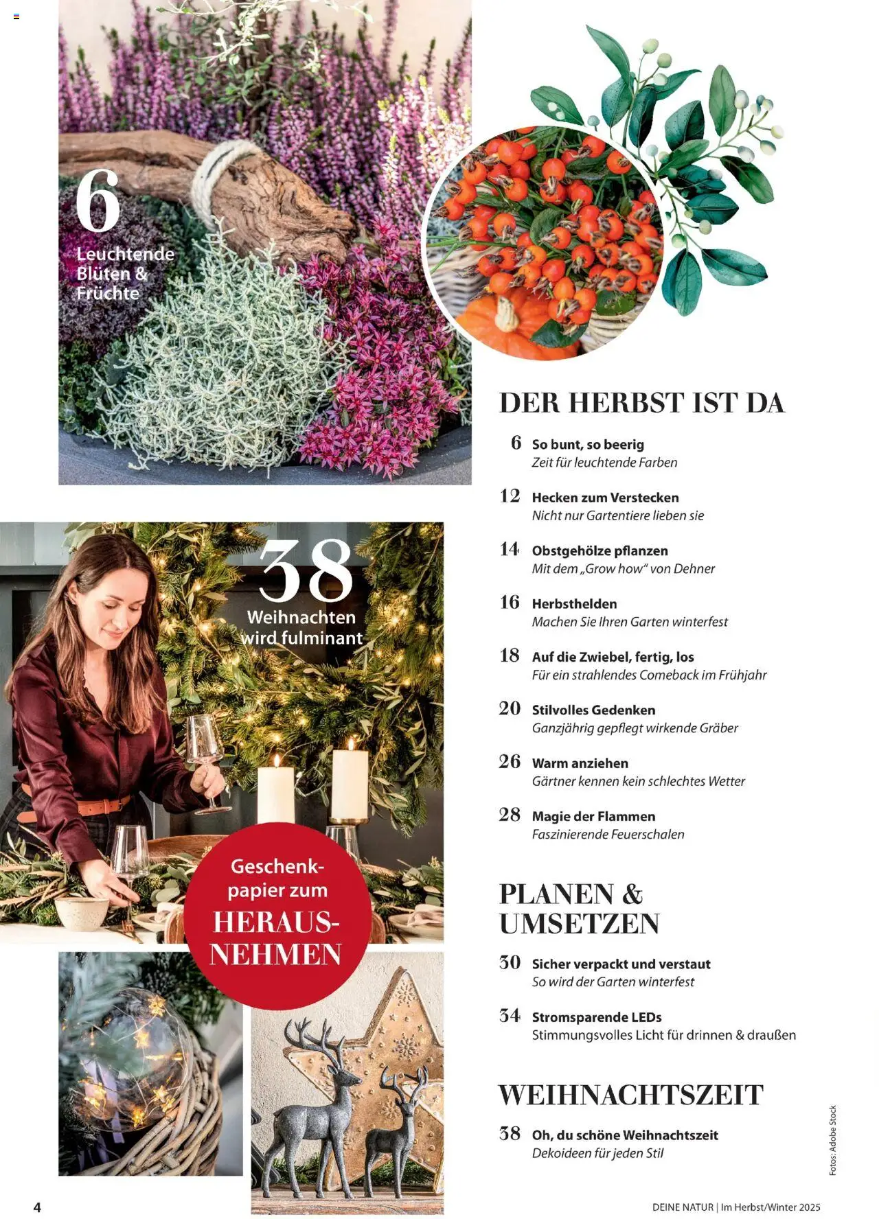 Dehner Prospekt Deine Natur – gültig ab 09.10.2025 | Seite: 4