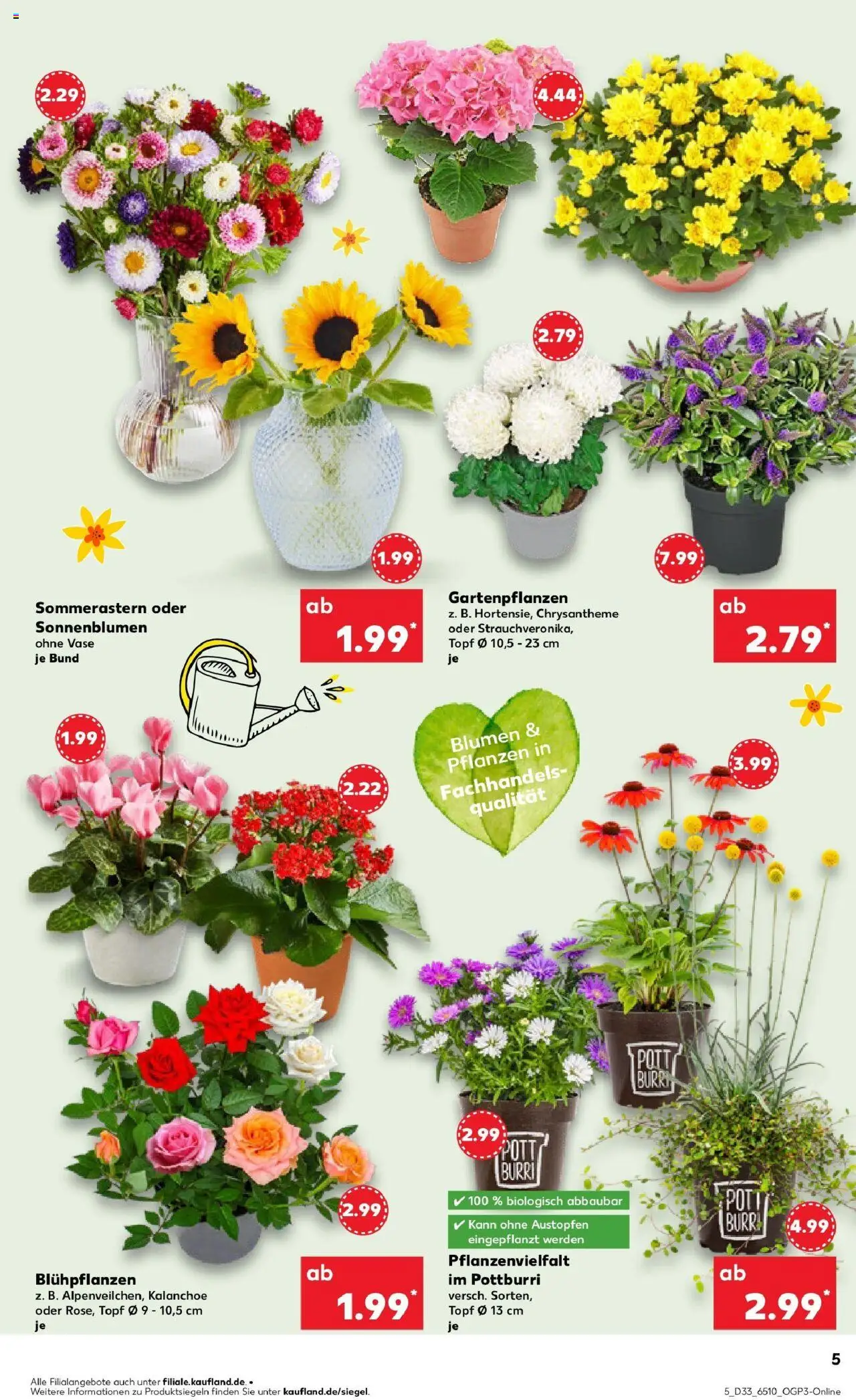 Kaufland prospekt Stolberg	 - gültig ab dem 18.08.2025 | Seite: 18 | Produkte: Blumen, Vase