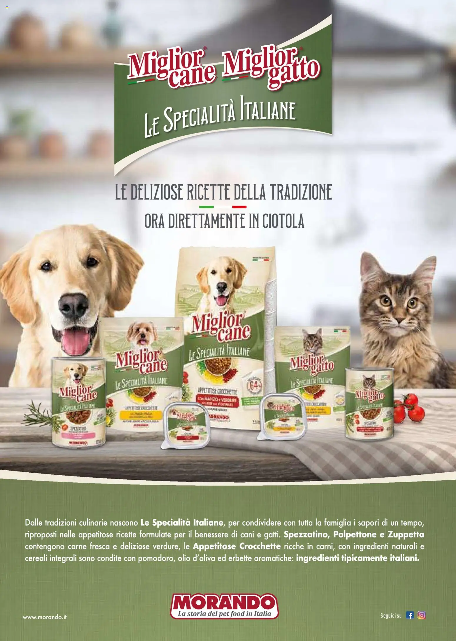 Volantino Gulliver del 31.10.2025 | Pagina: 86 | Prodotti: Cereali, Olio, Crocchette, Ciotola