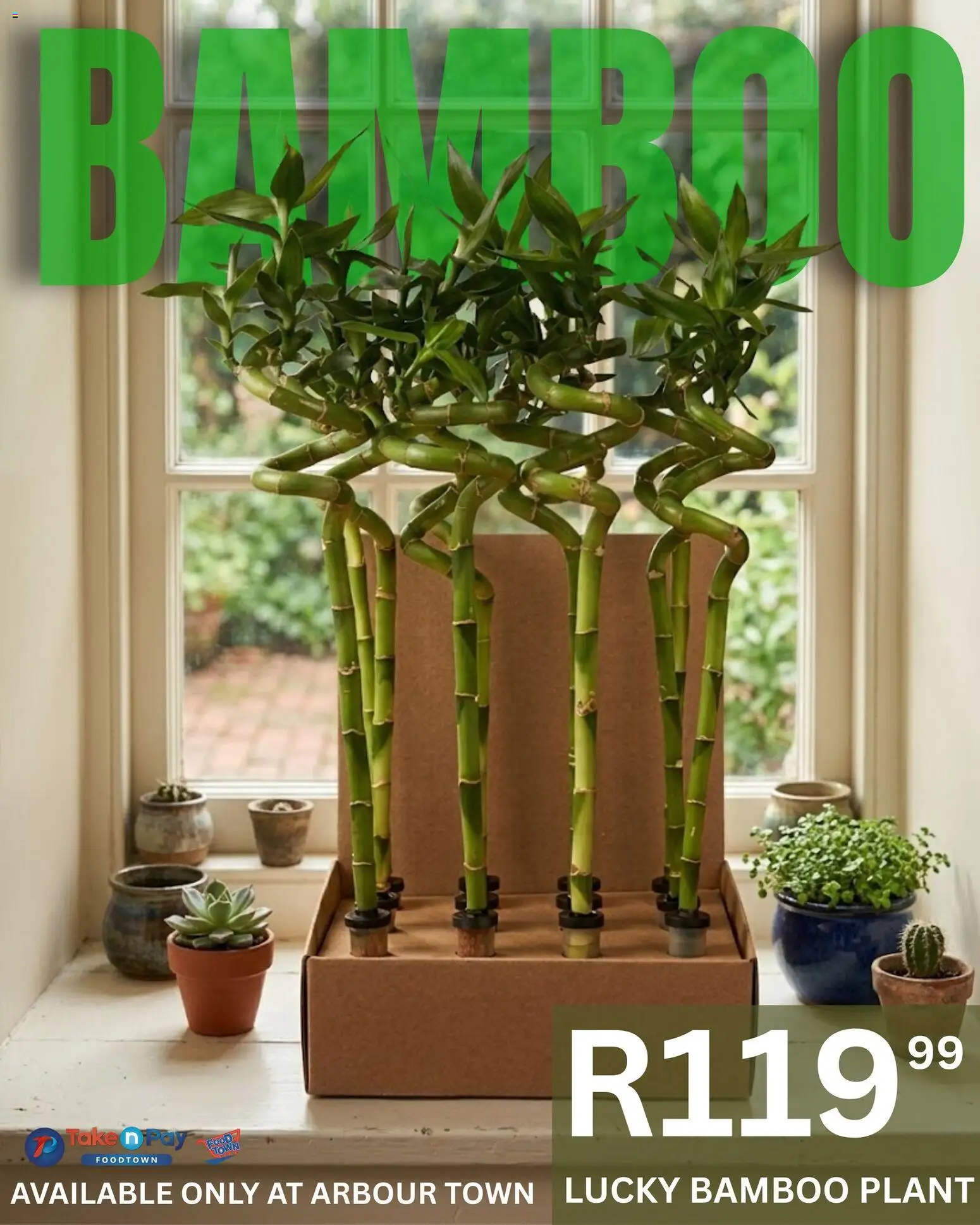 New Take n Pay catalogue – valid from 25.03.2026 | Page: 1