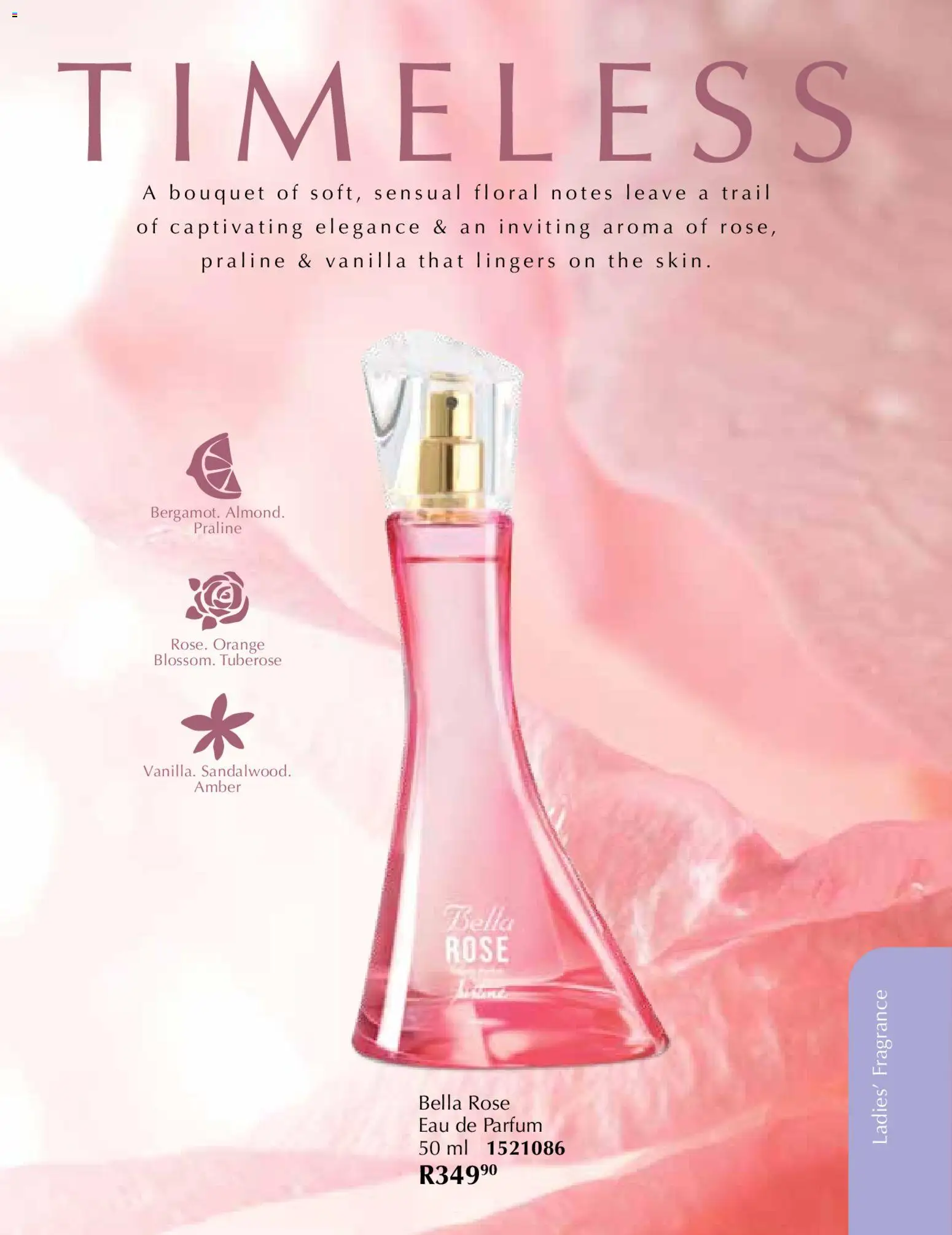 New Justine catalogue – valid from 01.11.2025 | Page: 53