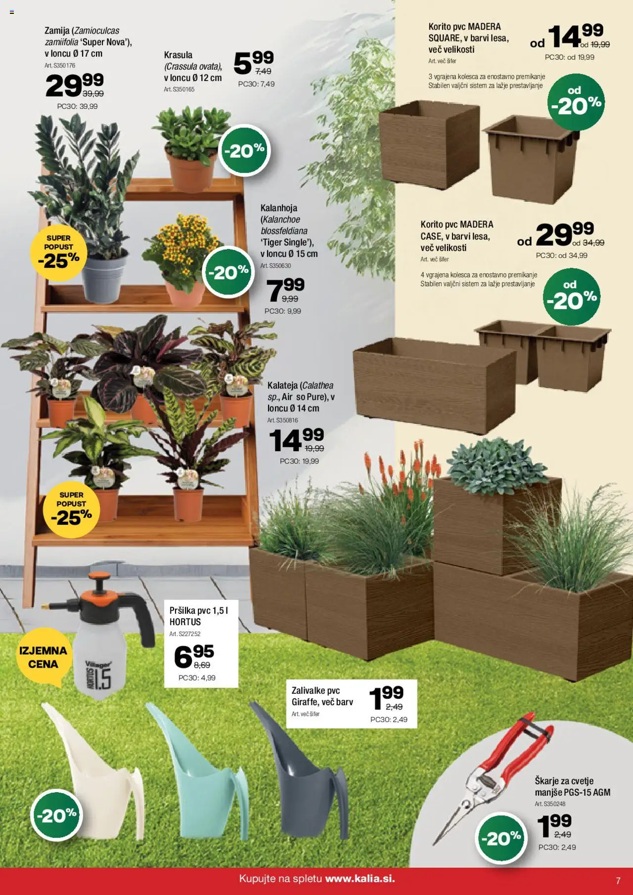 Kalia katalog │ velja od 18.08.2025 | Stran: 7 | Izdelki: Cvetje