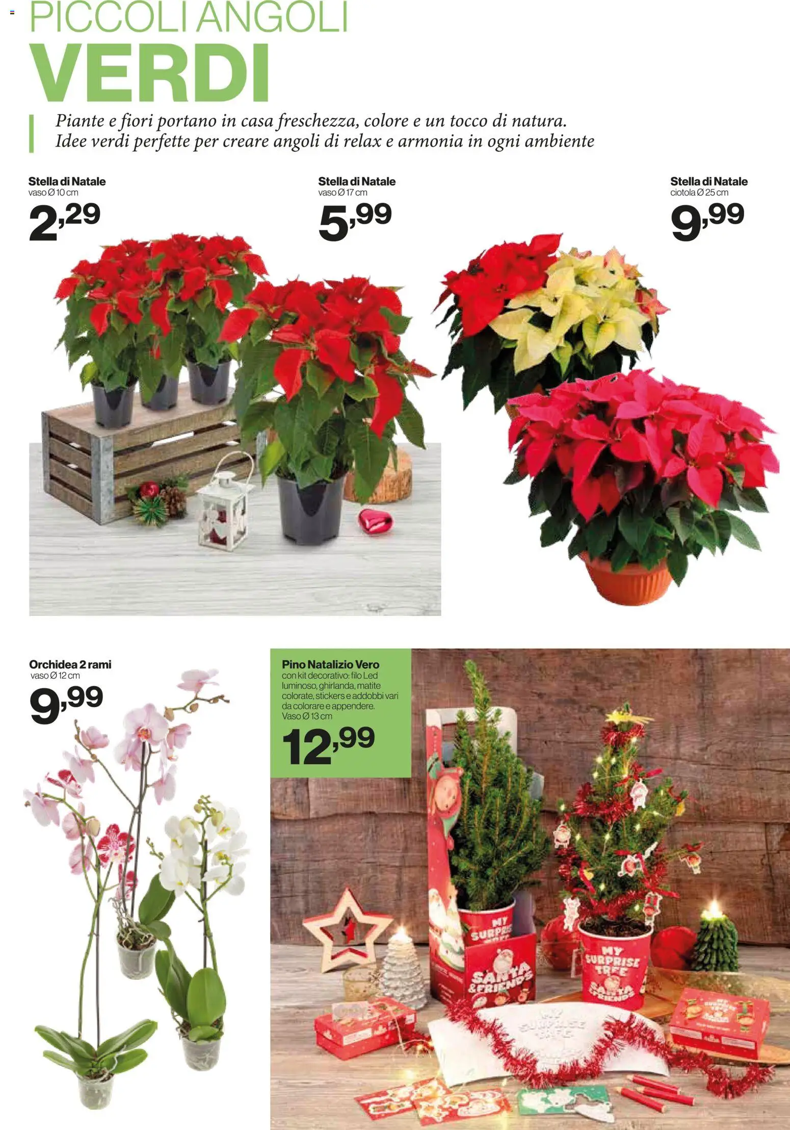 Volantino IN's del 19.11.2025 | Pagina: 19 | Prodotti: Orchidea, Ciotola, Vaso